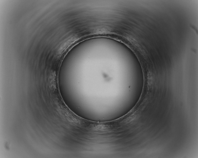 X0000103401265200809191513