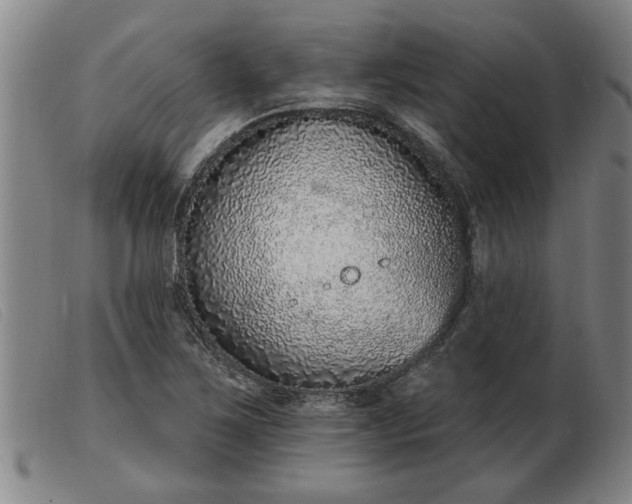 X0000103401267200809191513