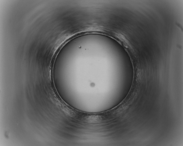 X0000103401268200809191513