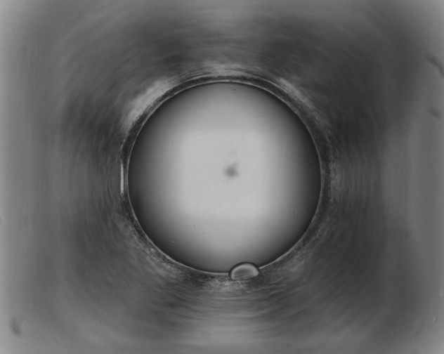 X0000103401269200809191513