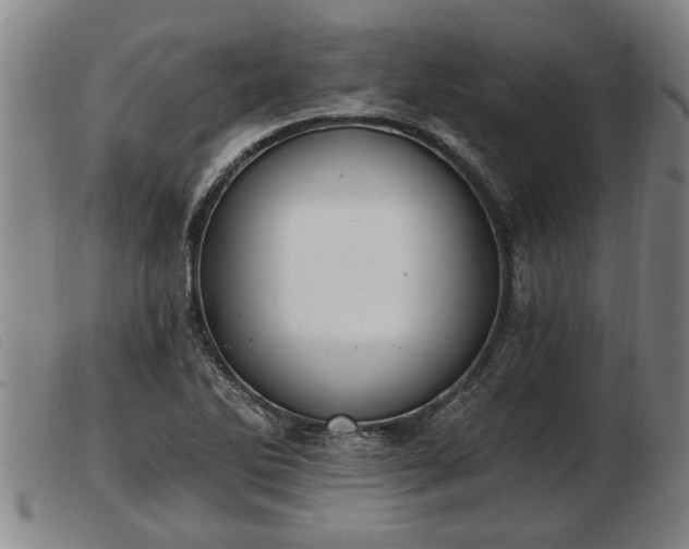 X0000103401270200809191513