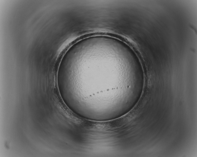 X0000103401271200809191513