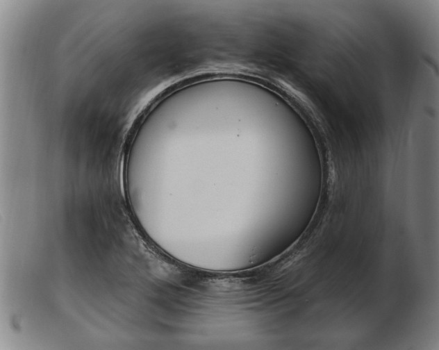 X0000103401272200809191513