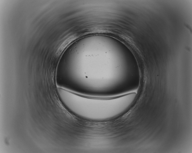 X0000103401273200809191513