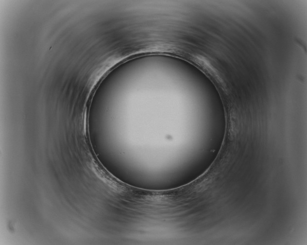 X0000103401276200809191512