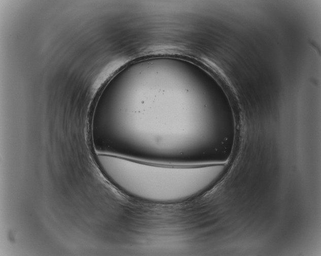 X0000103401277200809191512