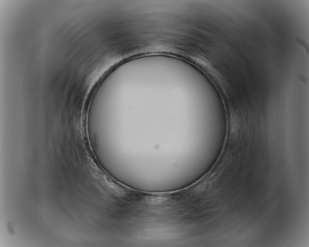 X0000103401278200809191512