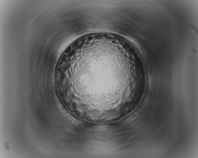 X0000103401279200809191512