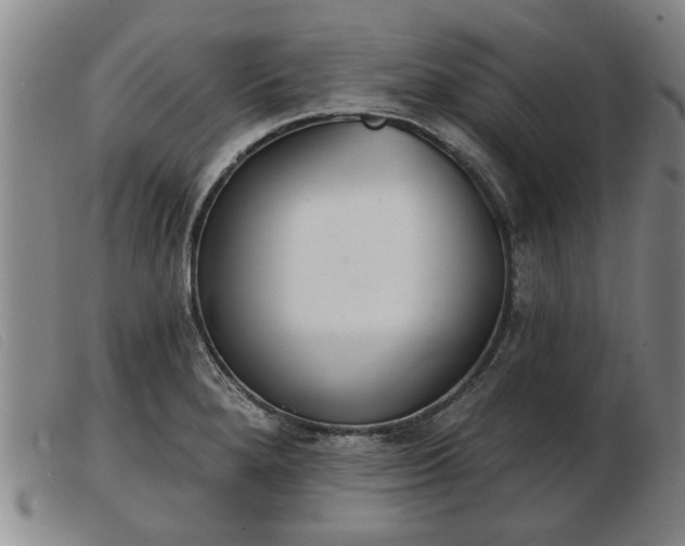 X0000103401280200809191512