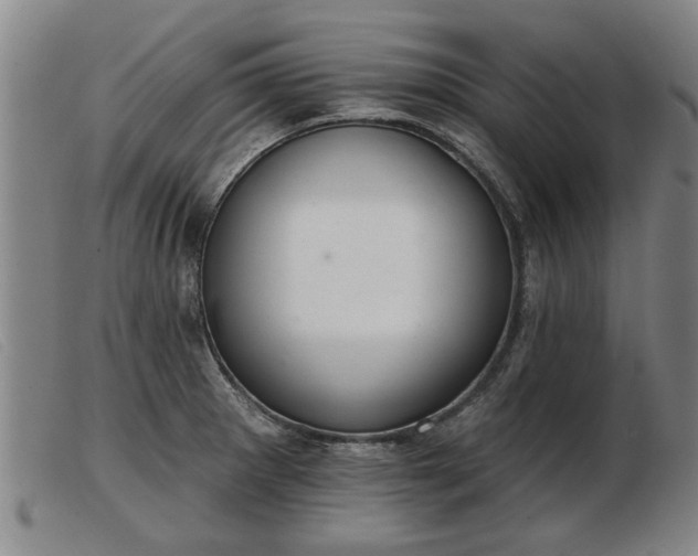 X0000103401281200809191512