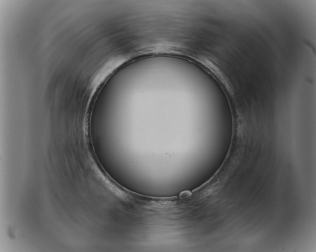 X0000103401285200809191512