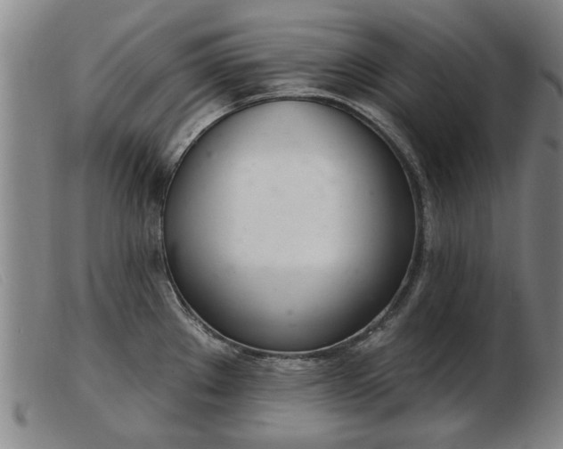 X0000103401289200809191512