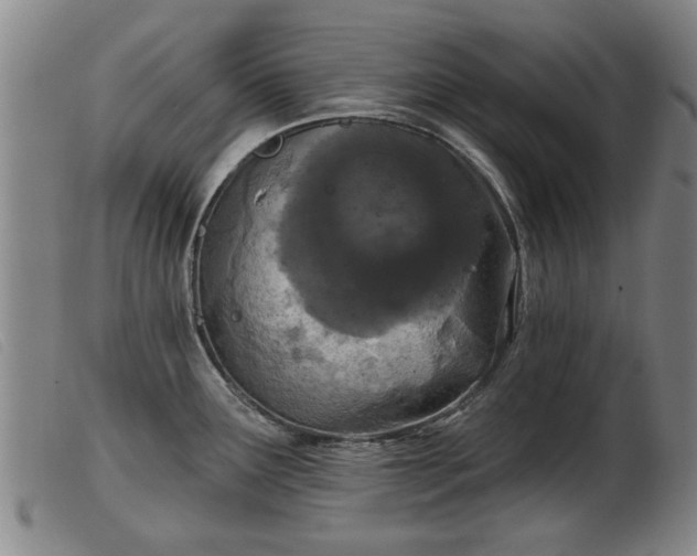 X0000103401291200809191512