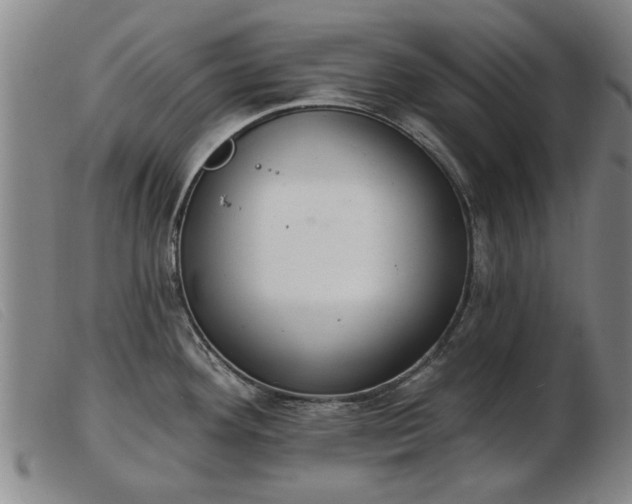 X0000103401292200809191512