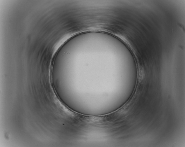 X0000103401294200809191512