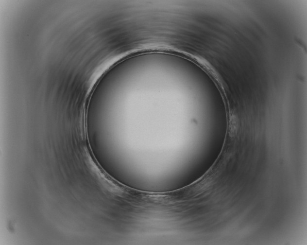 X0000103401295200809191512