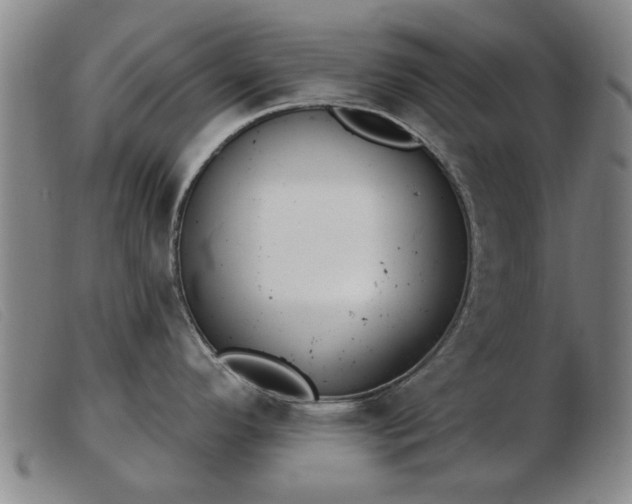 X0000103401296200809191512