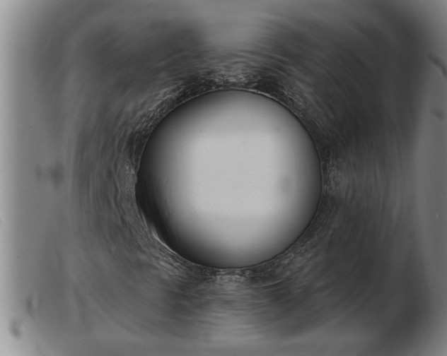 X0000103401297200809191511