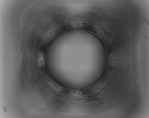 X0000103401298200809191511