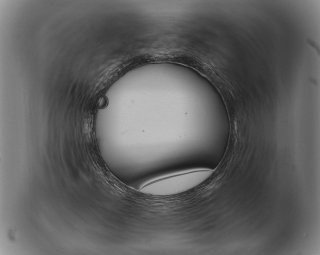 X0000103401300200809191511