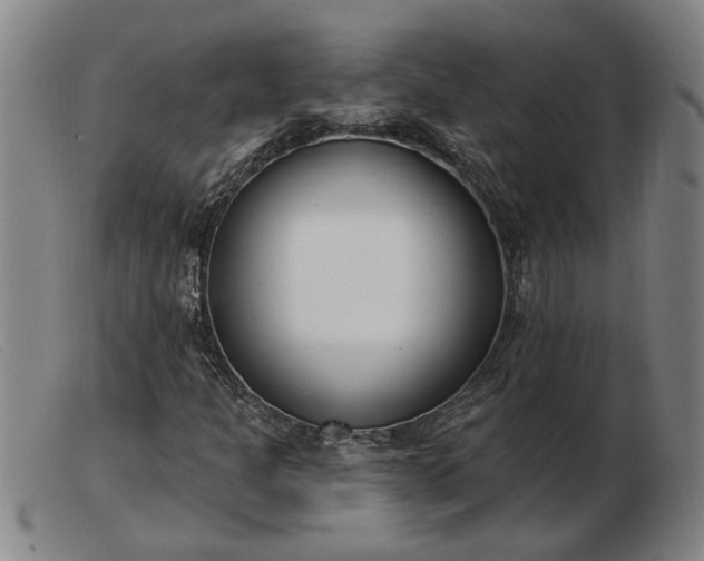 X0000103401301200809191511