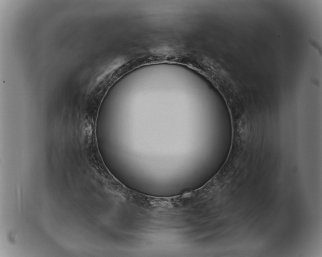 X0000103401302200809191511