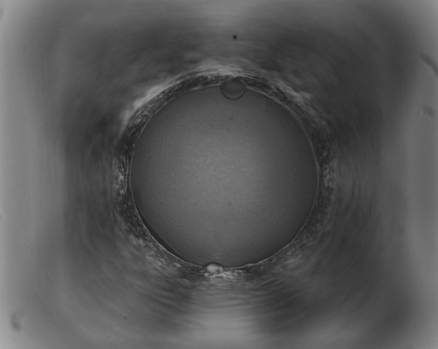 X0000103401303200809191511