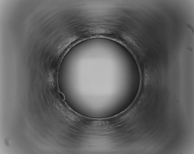 X0000103401305200809191511