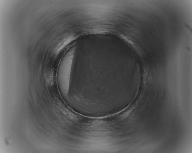 X0000103401306200809191511