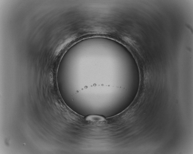 X0000103401307200809191512