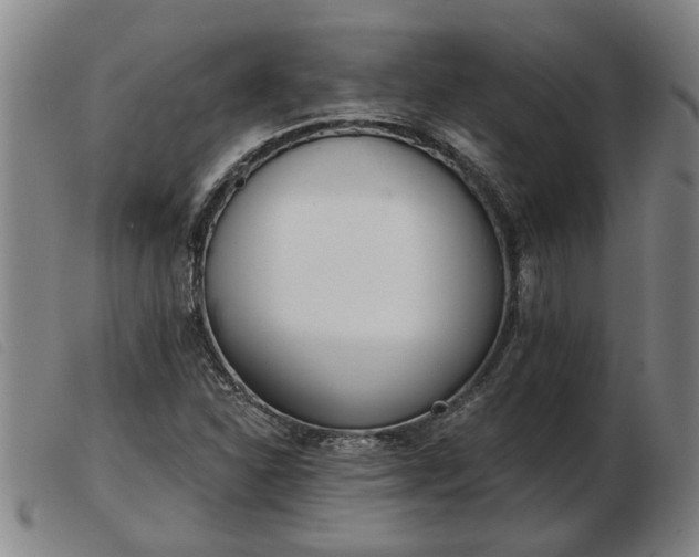 X0000103401310200809191512