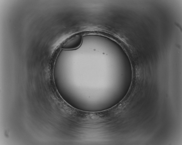 X0000103401311200809191512