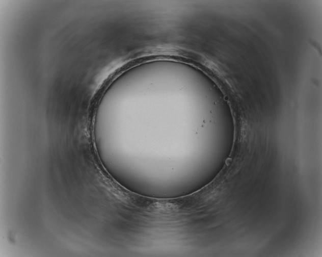 X0000103401312200809191512