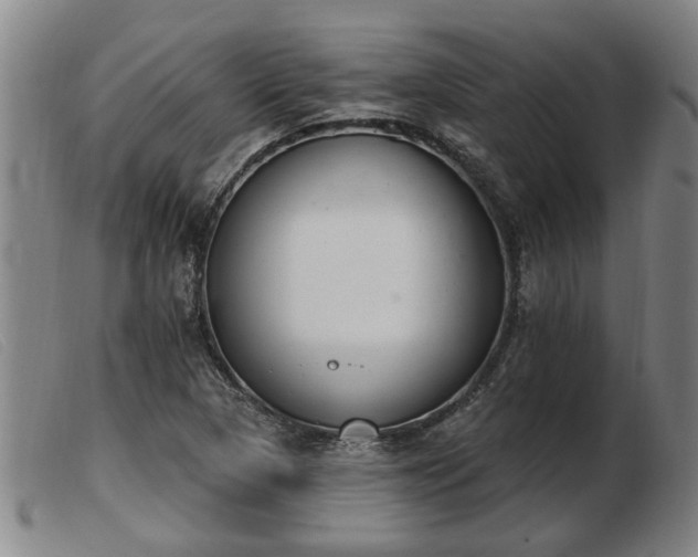 X0000103401313200809191512