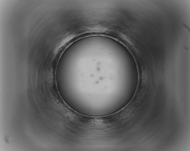 X0000103401315200809191512