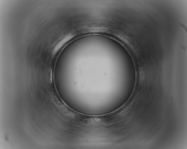 X0000103401317200809191512