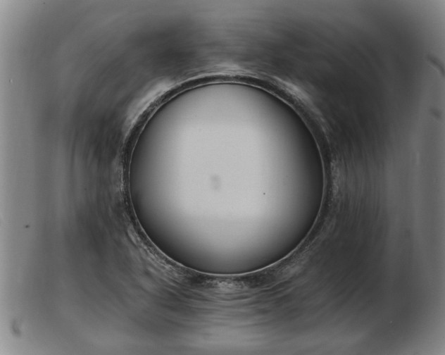 X0000103401318200809191512