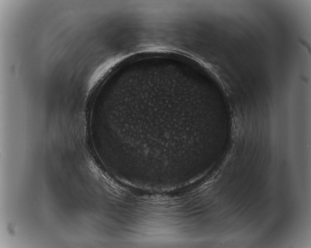 X0000103401319200809191512