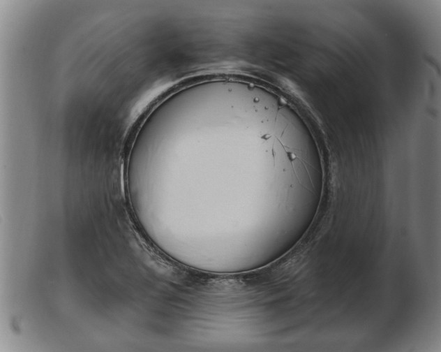 X0000103401320200809191512