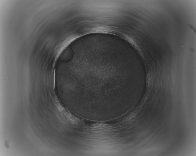 X0000103401323200809191512