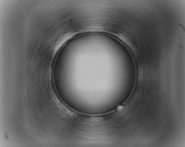 X0000103401325200809191512