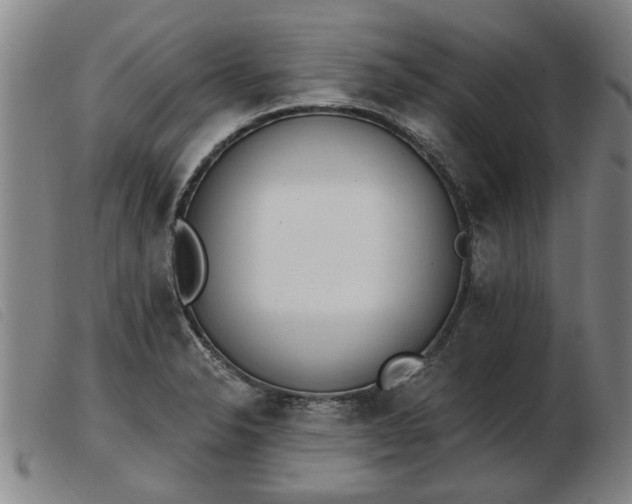 X0000103401326200809191512