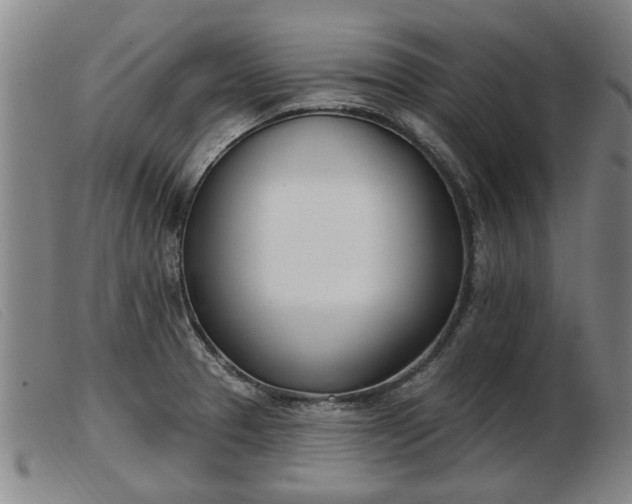 X0000103401329200809191512