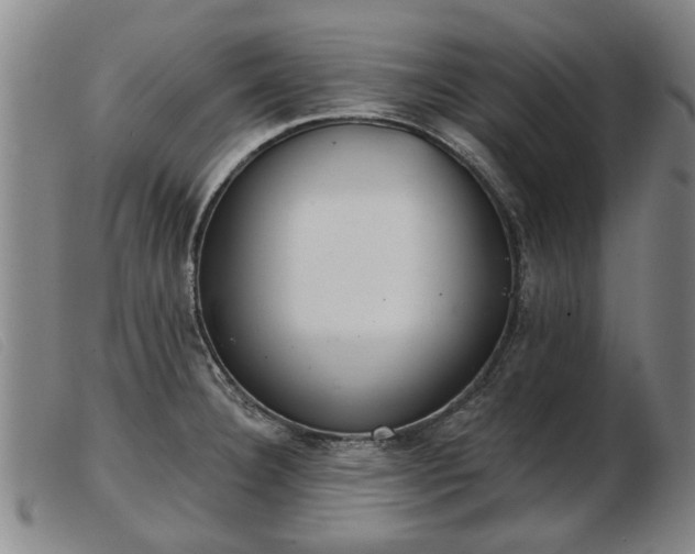 X0000103401332200809191512