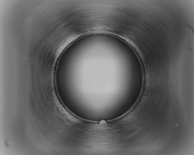 X0000103401333200809191512