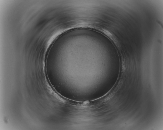 X0000103401334200809191512