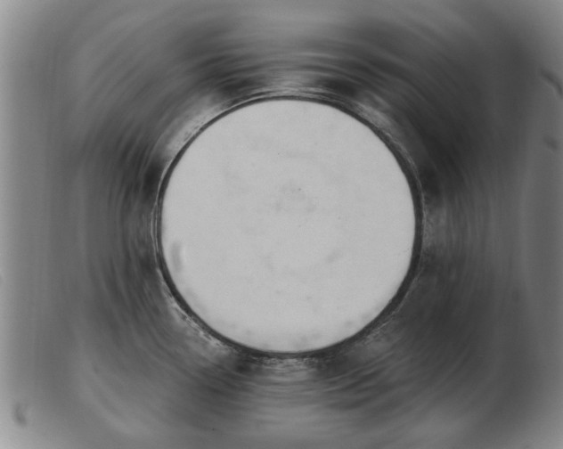 X0000103401338200809191512