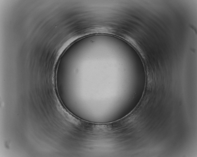 X0000103401339200809191512