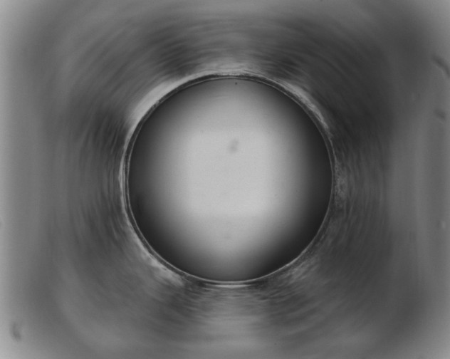 X0000103401343200809191512