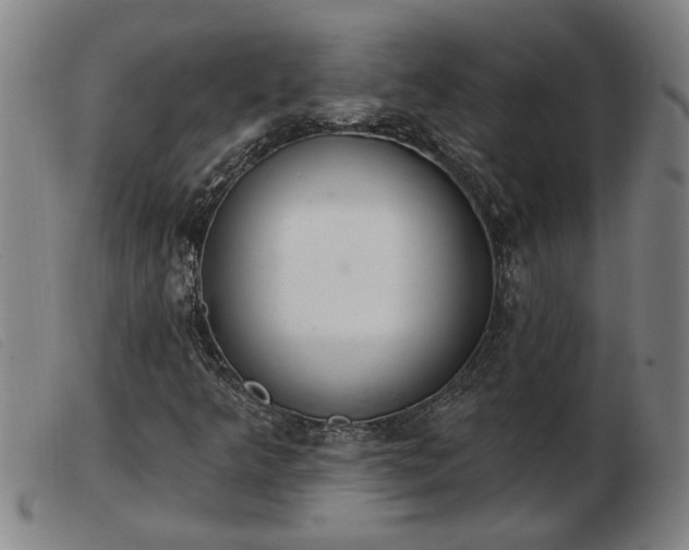 X0000103401349200809191511